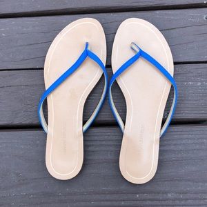 Blue Banana Republic Flip Flops